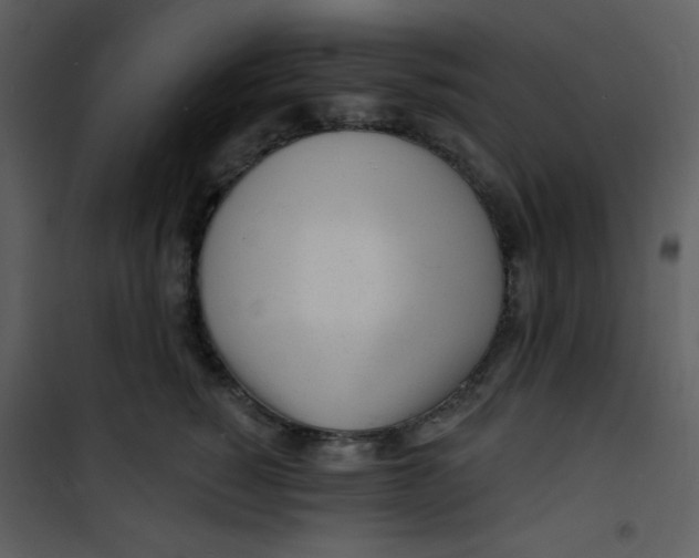 X0000100840760200807180920