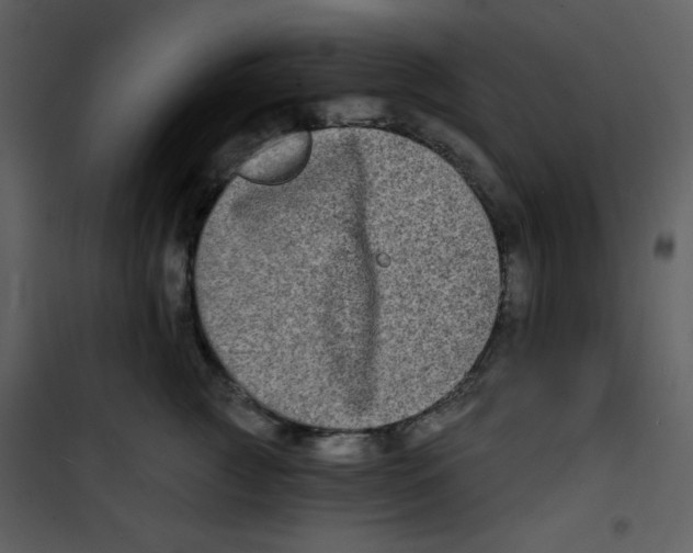 X0000100840761200807180920