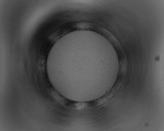 X0000100840762200807180920