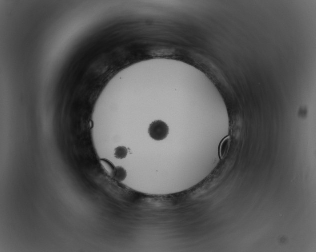 X0000100840763200807180920