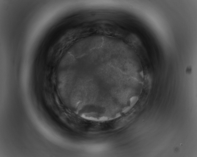 X0000100840765200807180920