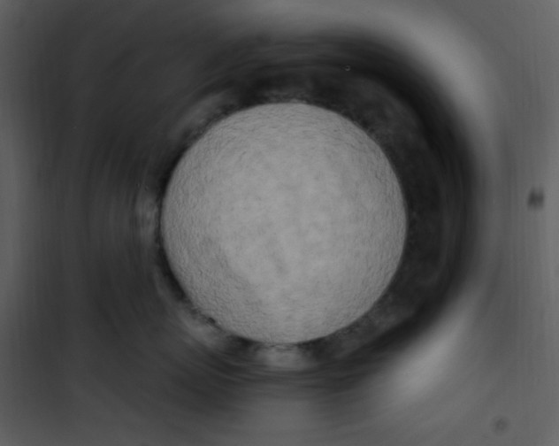 X0000100840767200807180920