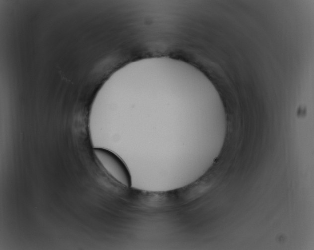 X0000100840768200807180920