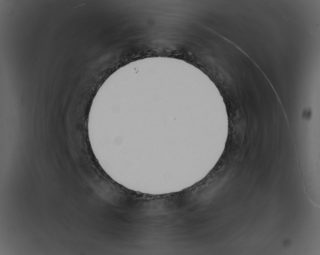 X0000100840769200807180919