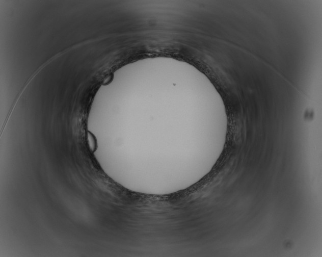 X0000100840770200807180919