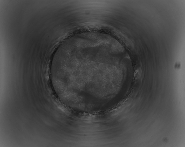 X0000100840772200807180919