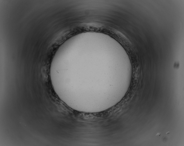 X0000100840774200807180919