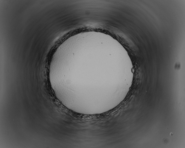 X0000100840776200807180919