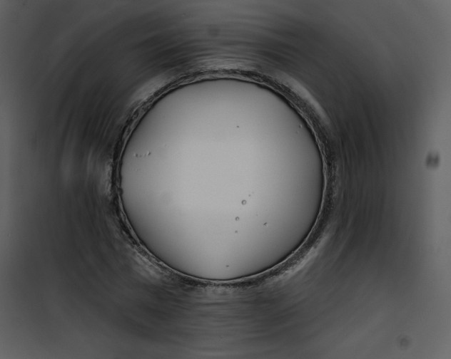 X0000100840777200807180919