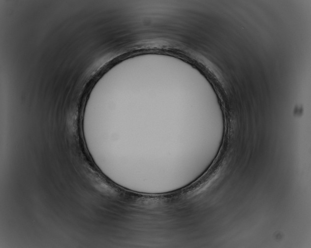 X0000100840778200807180919