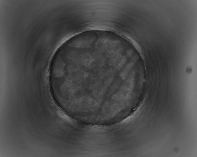 X0000100840779200807180919