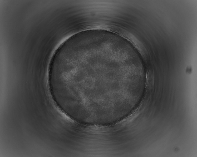 X0000100840780200807180919