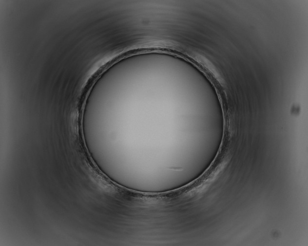 X0000100840781200807180919