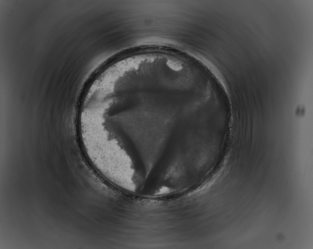 X0000100840783200807180919