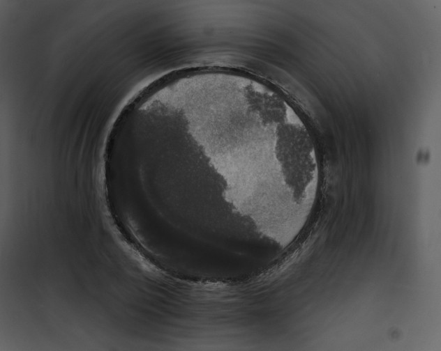 X0000100840784200807180919