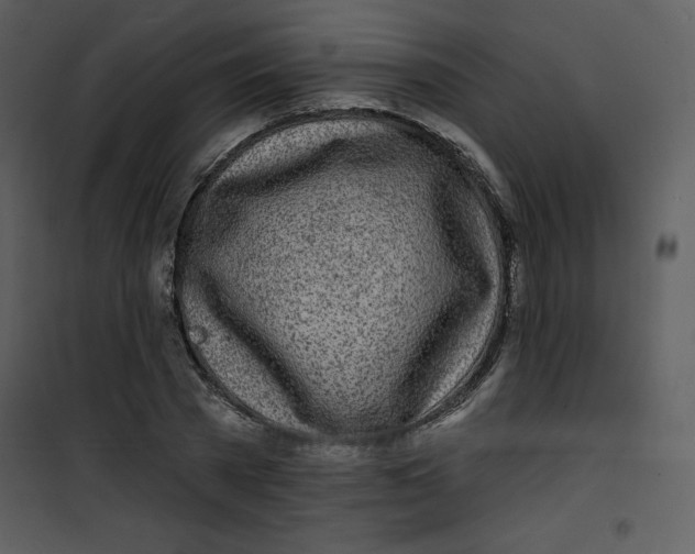 X0000100840785200807180919