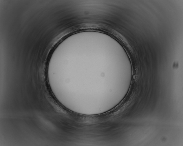 X0000100840786200807180919