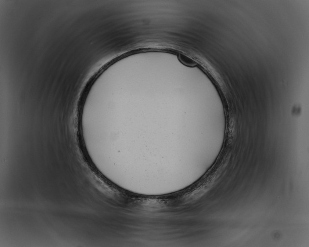 X0000100840787200807180919