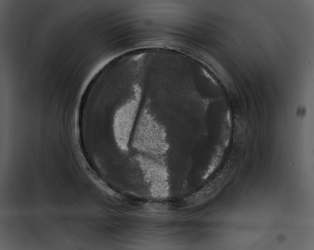 X0000100840788200807180919