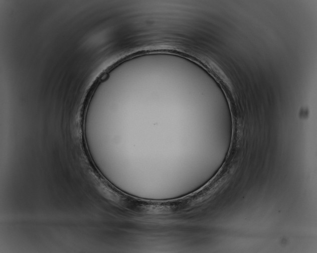 X0000100840789200807180919