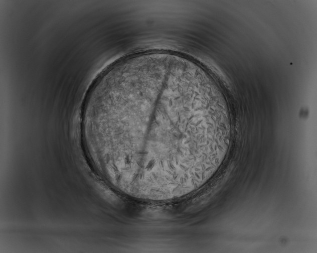 X0000100840790200807180919