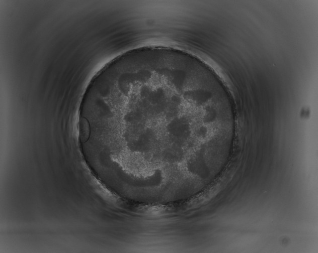 X0000100840791200807180919