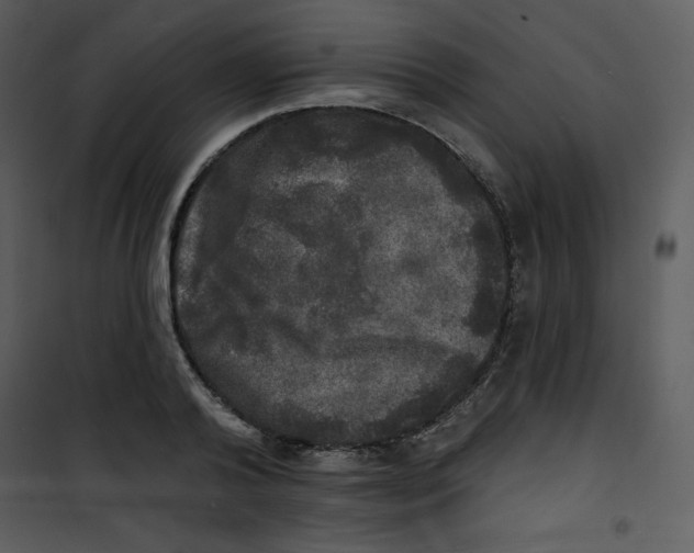 X0000100840792200807180919