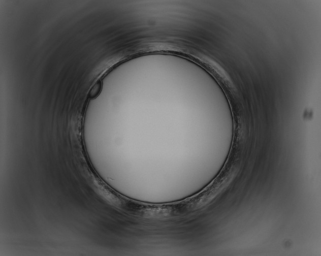 X0000100840793200807180919