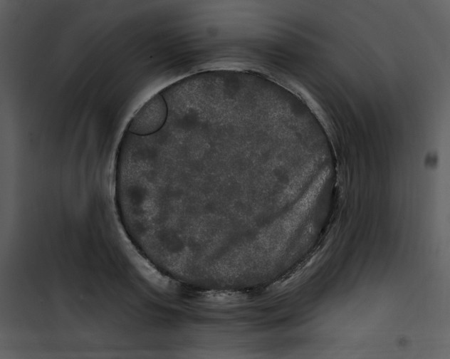 X0000100840795200807180919