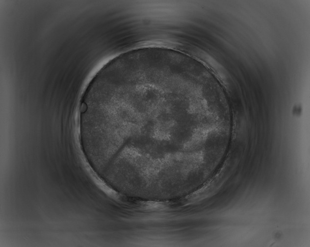 X0000100840796200807180919