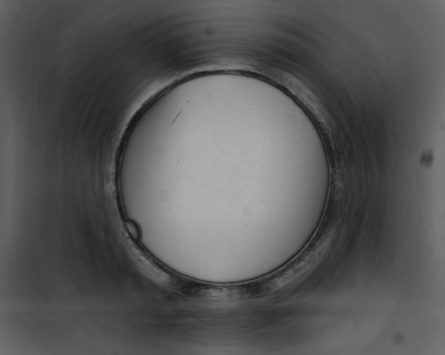 X0000100840797200807180919