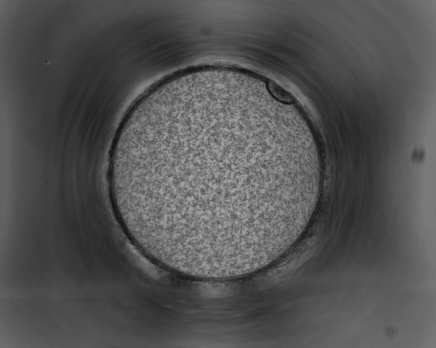 X0000100840799200807180919