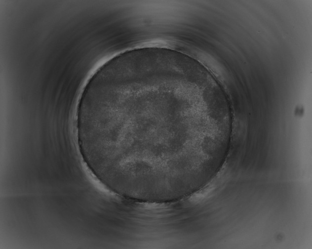 X0000100840800200807180919