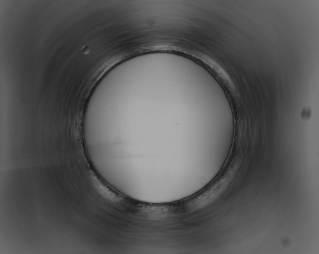 X0000100840801200807180919