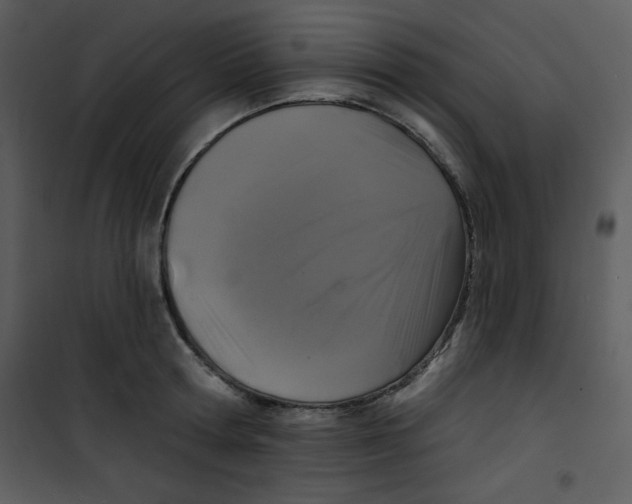 X0000100840802200807180919