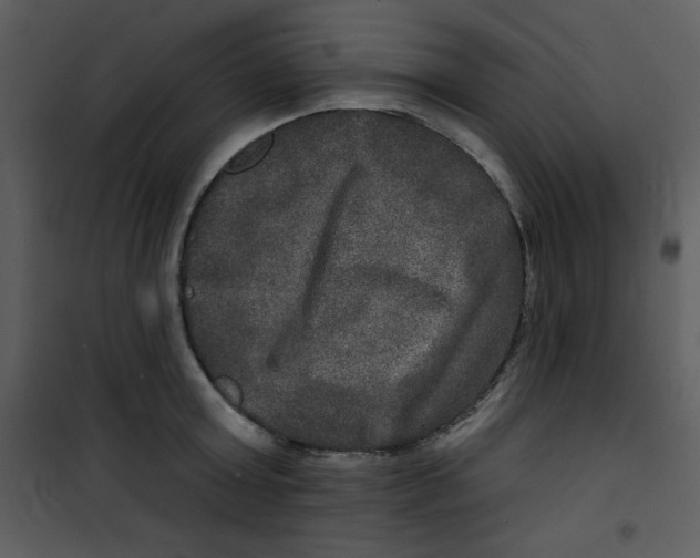 X0000100840803200807180919