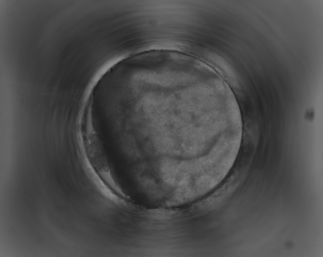 X0000100840804200807180919