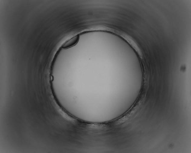 X0000100840805200807180919