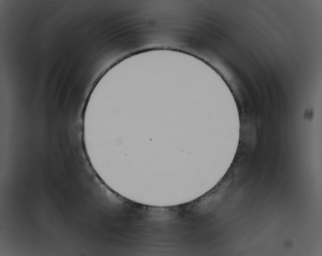 X0000100840807200807180919