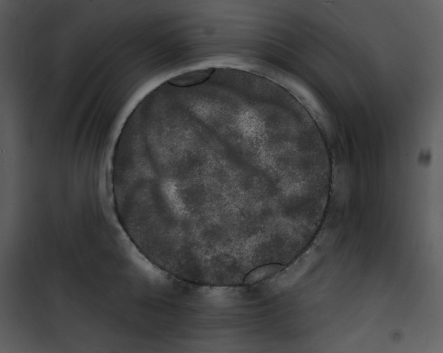 X0000100840808200807180919