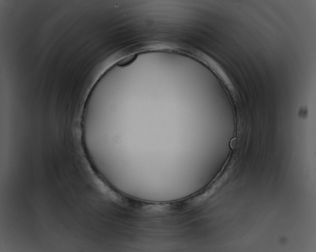 X0000100840810200807180919