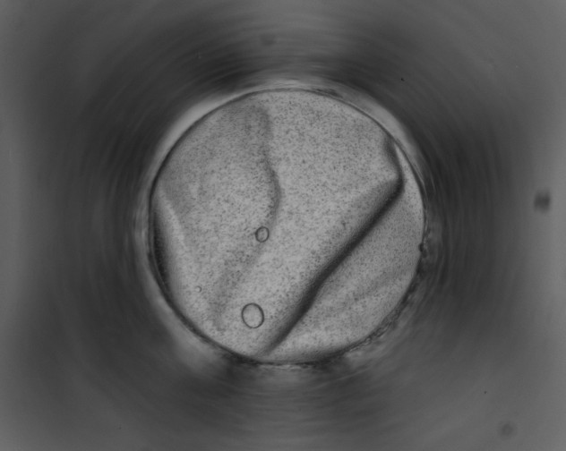 X0000100840811200807180919