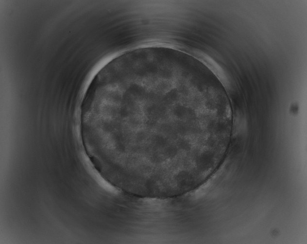 X0000100840812200807180919