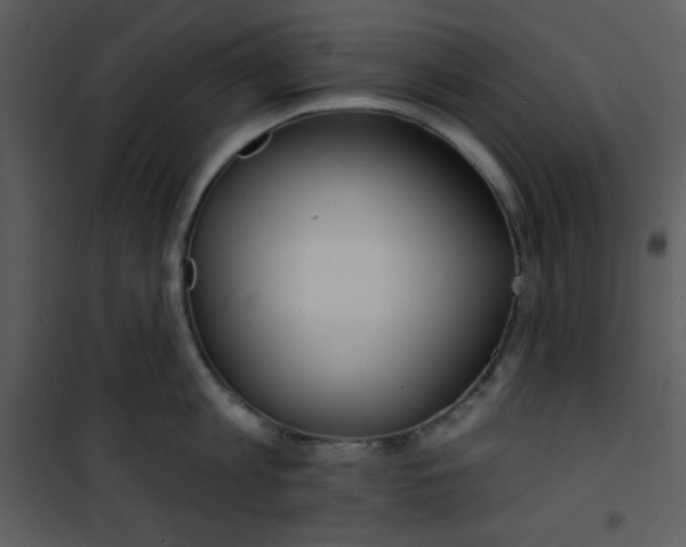 X0000100840813200807180919