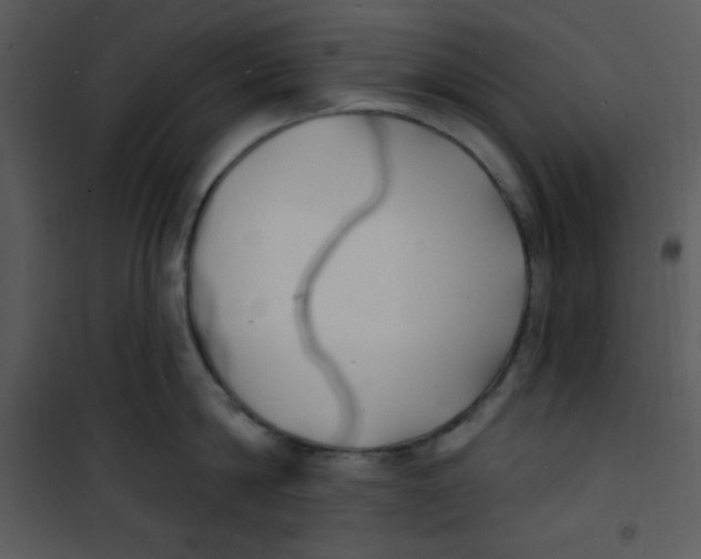 X0000100840814200807180919