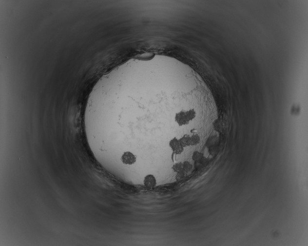 X0000100840818200807180918