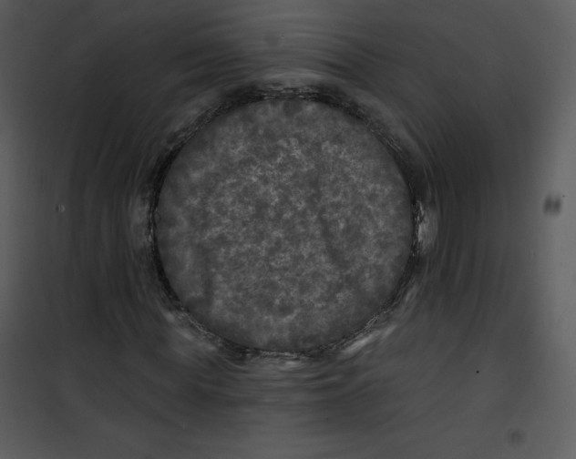 X0000100840819200807180918