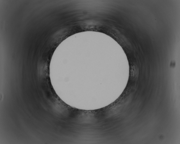 X0000100840820200807180918