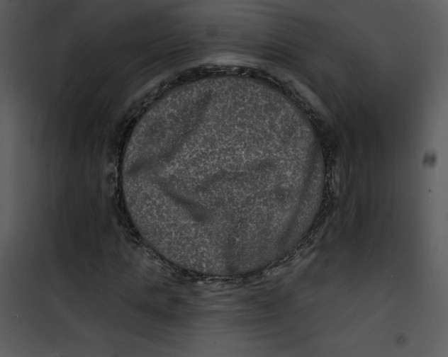 X0000100840821200807180918