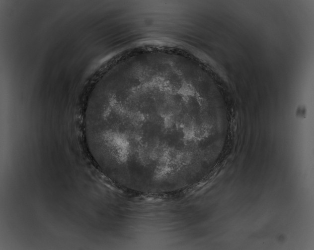 X0000100840822200807180918